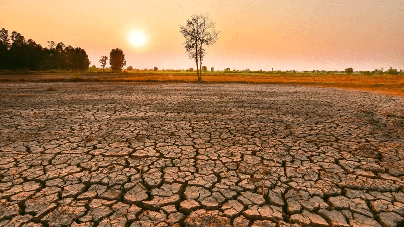 el-nino-po-behet-me-ekstrem,-shkencetaret-paralajmerojne-per-pasoja-globale