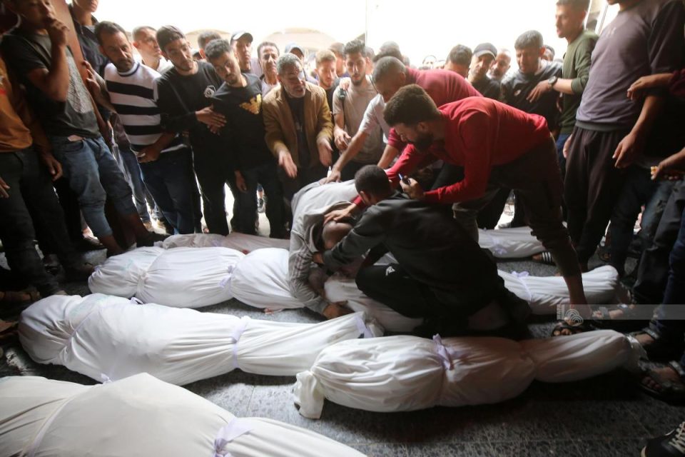 numri-i-te-vrareve-ne-gaza-arrin-ne-73,910